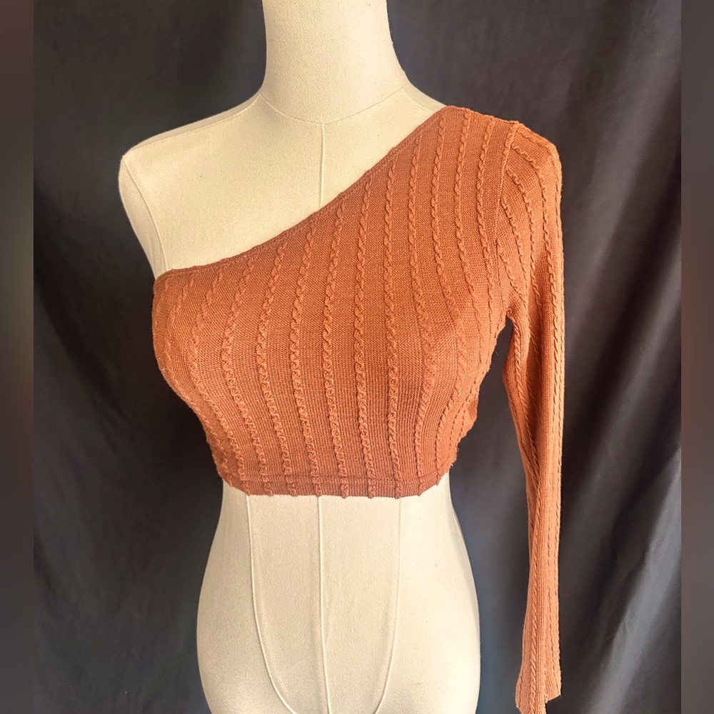 One-Shoulder Ribbed Knit crop Top in Rust XS
